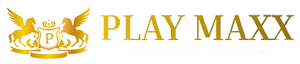 Playmaxx Logo